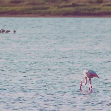 Apartment Casa Corallo *